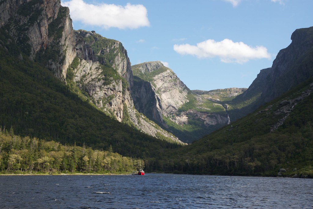 Newfoundland Fjord