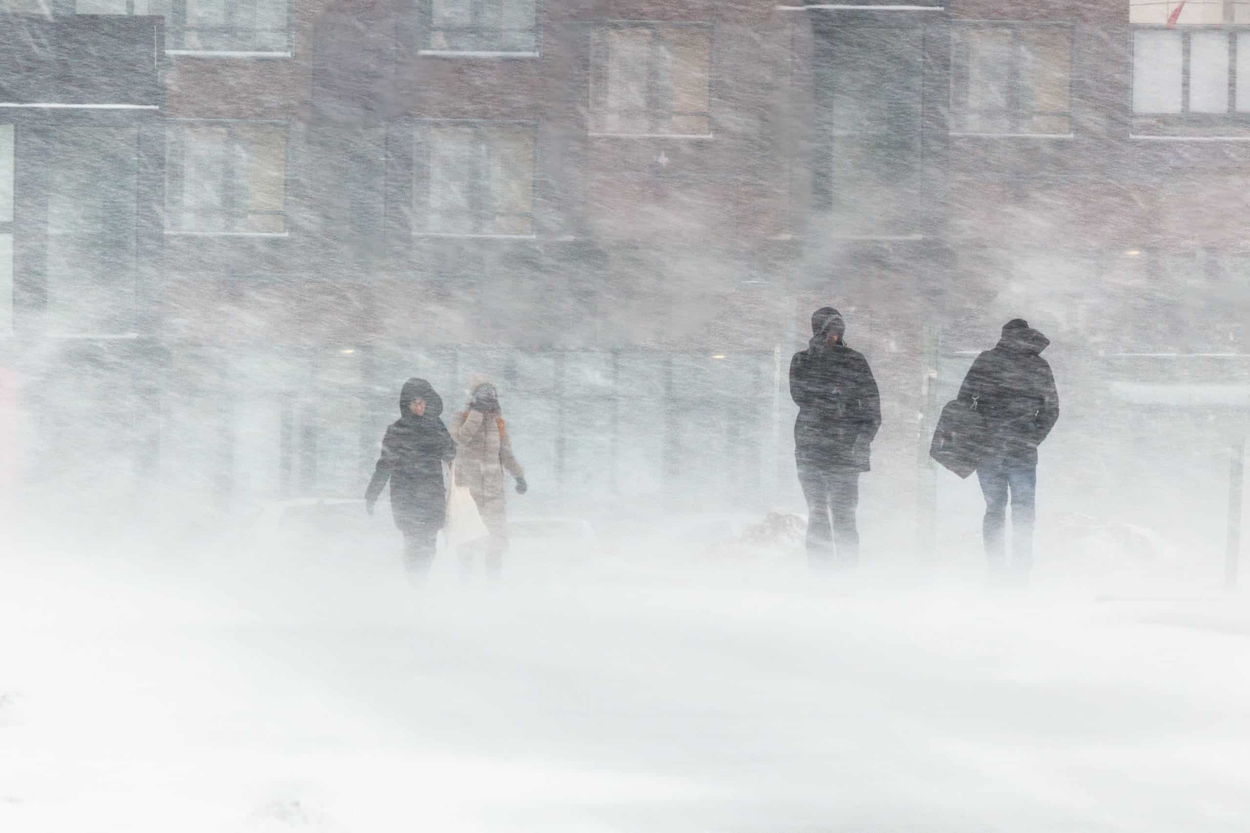 More Than 7 Feet of Snow Fell in 24 Hours (continued)
