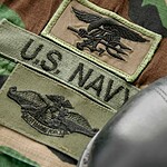 Which U.S. Military Uniform Is This?