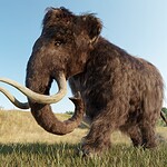 Woolly Mammoths Were Alive When the Great Pyramid Was Built