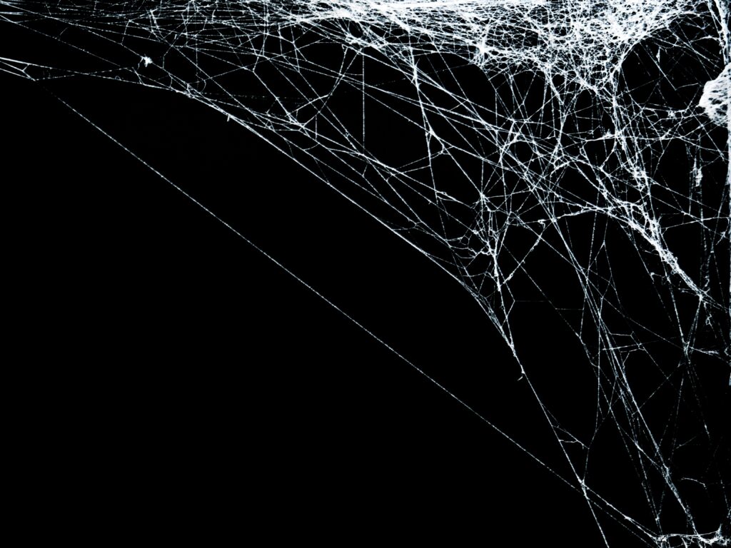White threads of spider web on right angle corner close up view isolated on black
