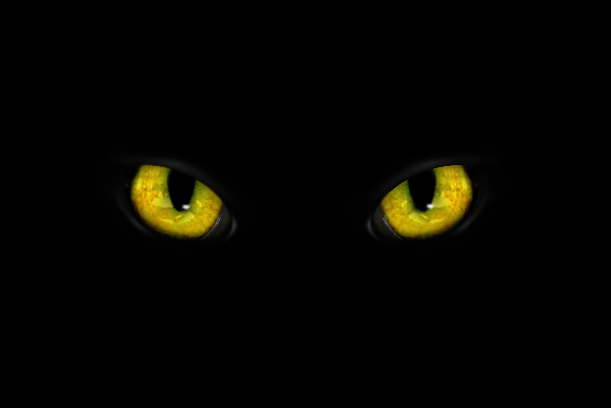 Golden cat eyes visible in darkness. Halloween vibe