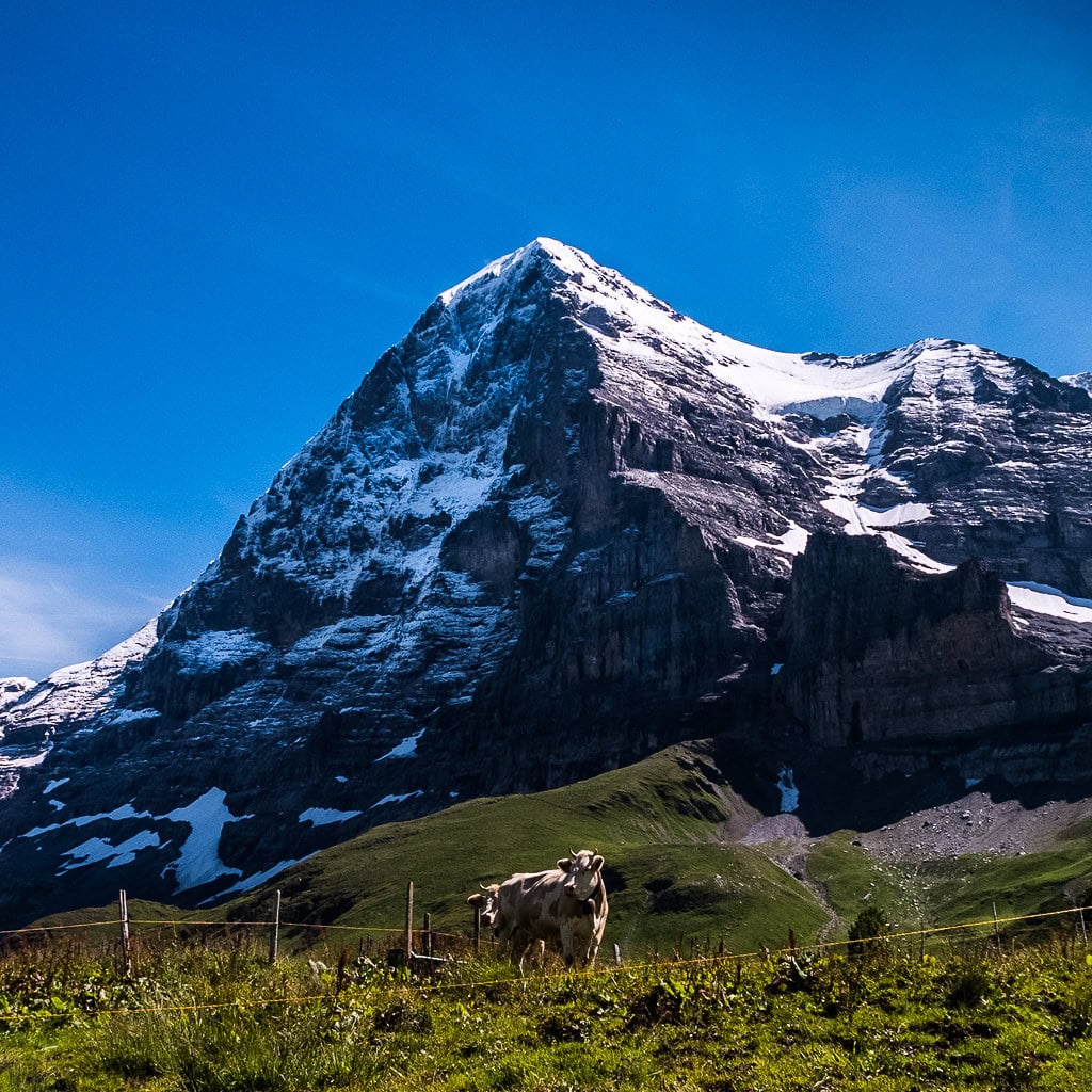 Eiger north face