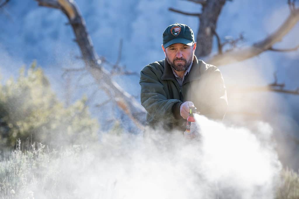 Bear Spray Left in a Carry-On