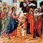 Which tax collector climbed a tree so he could see Jesus?