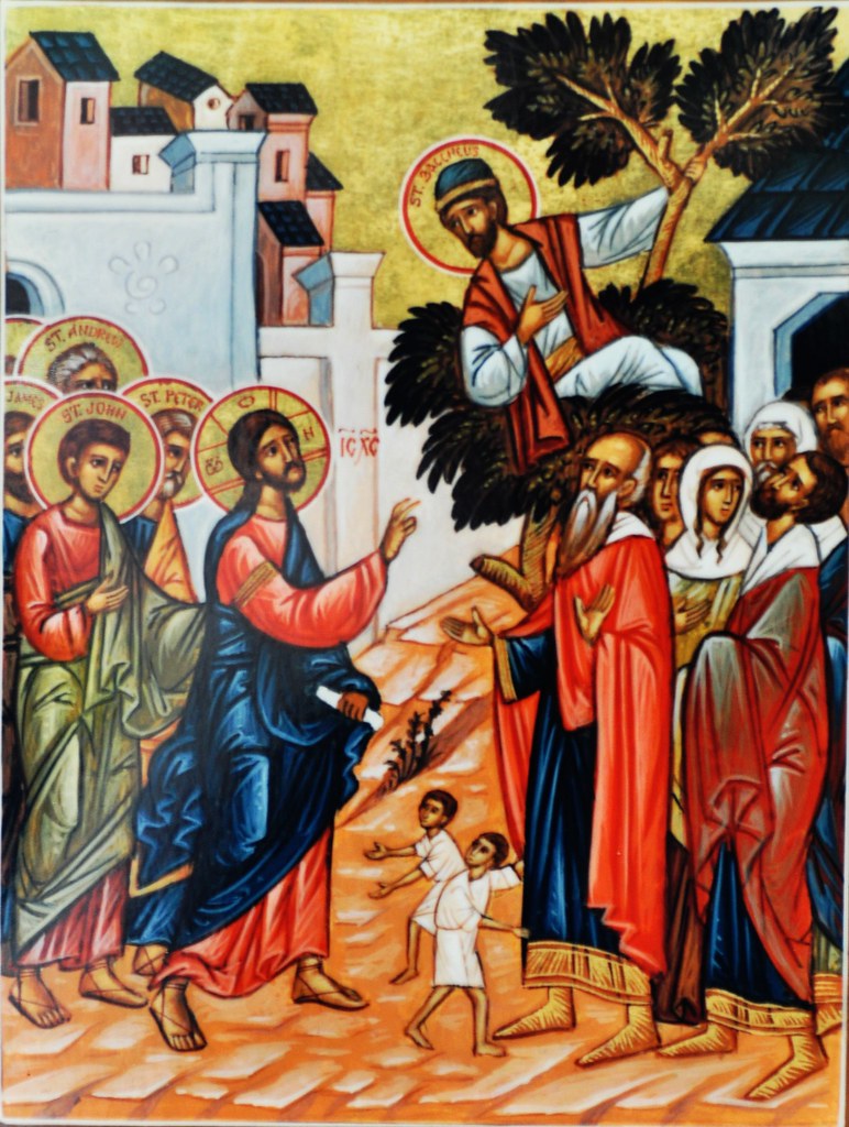 Which tax collector climbed a tree so he could see Jesus?