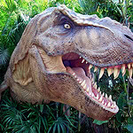 All Dinosaurs Were Cold-Blooded and Sluggish