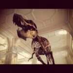 Dinosaurs (continued)