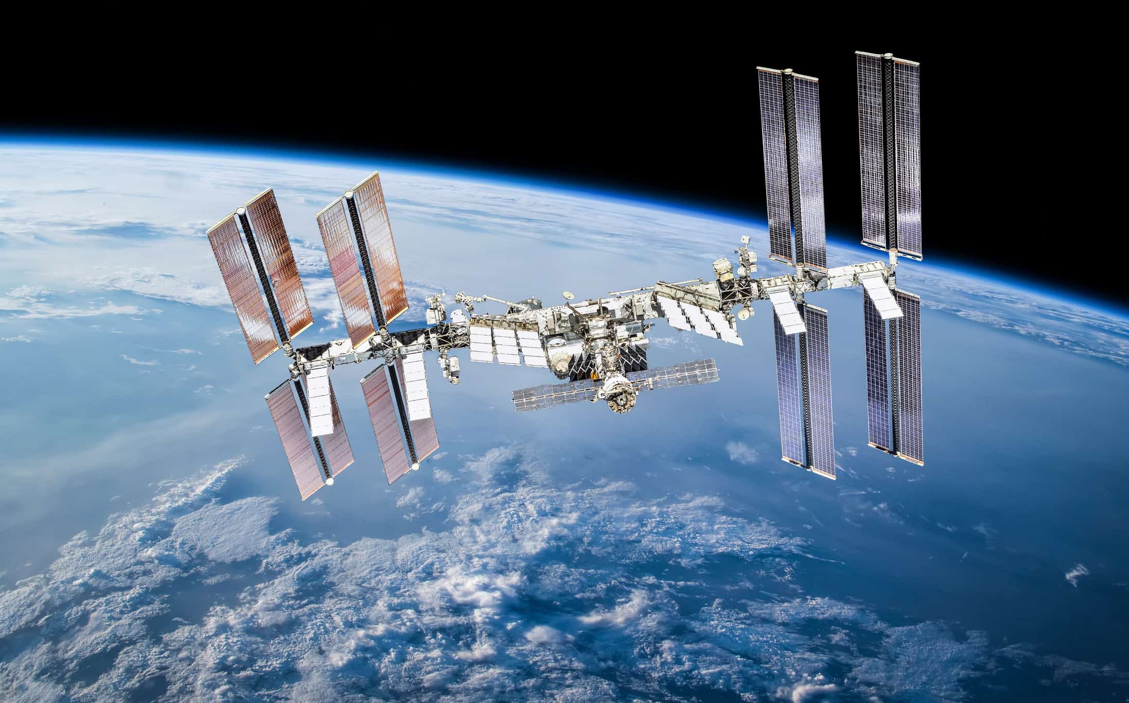 Aboard the International Space Station, scientists have studied extremophile fungi.