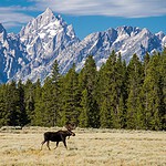 Wyoming