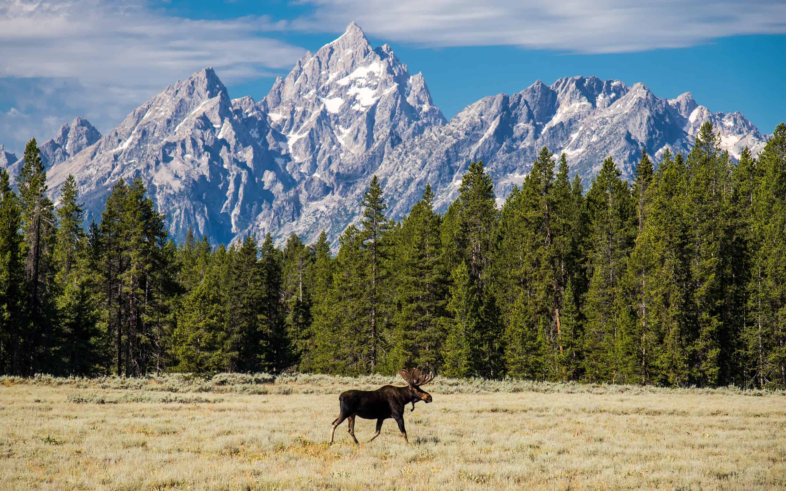 Wyoming