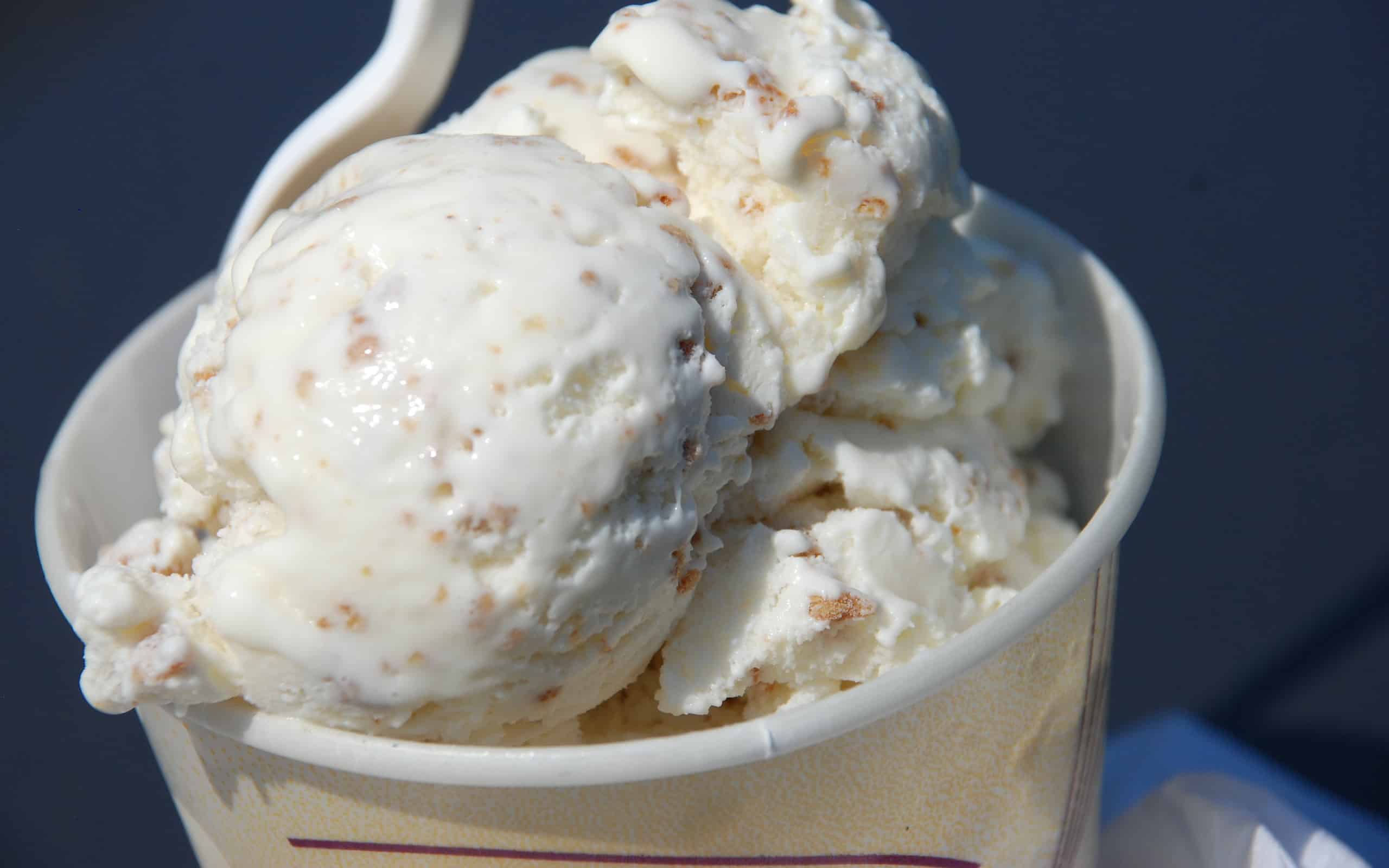 Grape Nuts Ice Cream