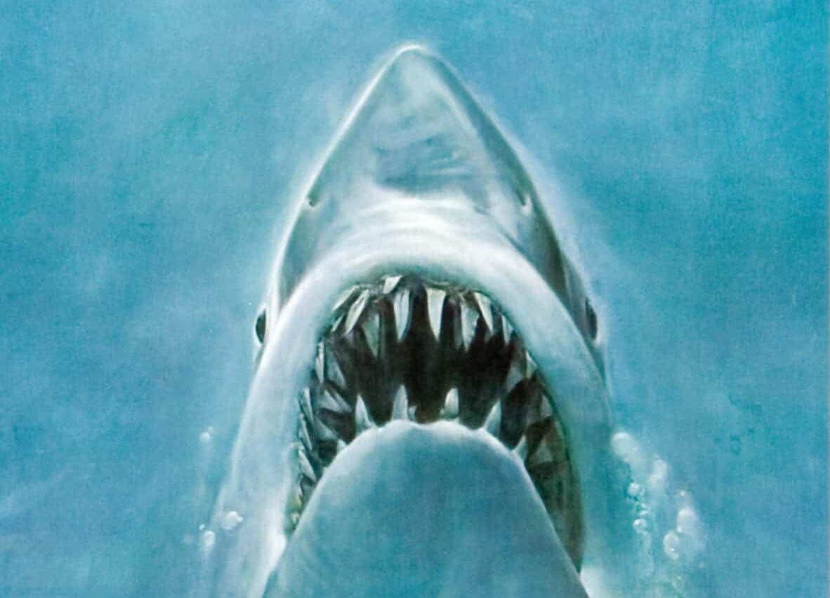 Jaws (1975)