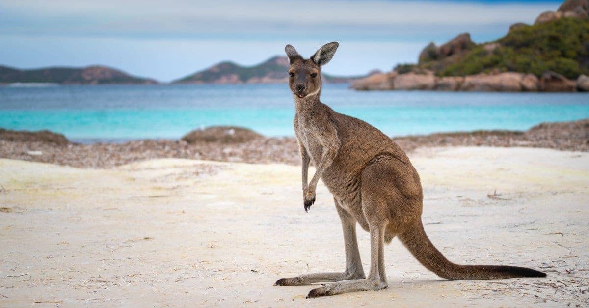 #7 What Is the Capital of Australia?