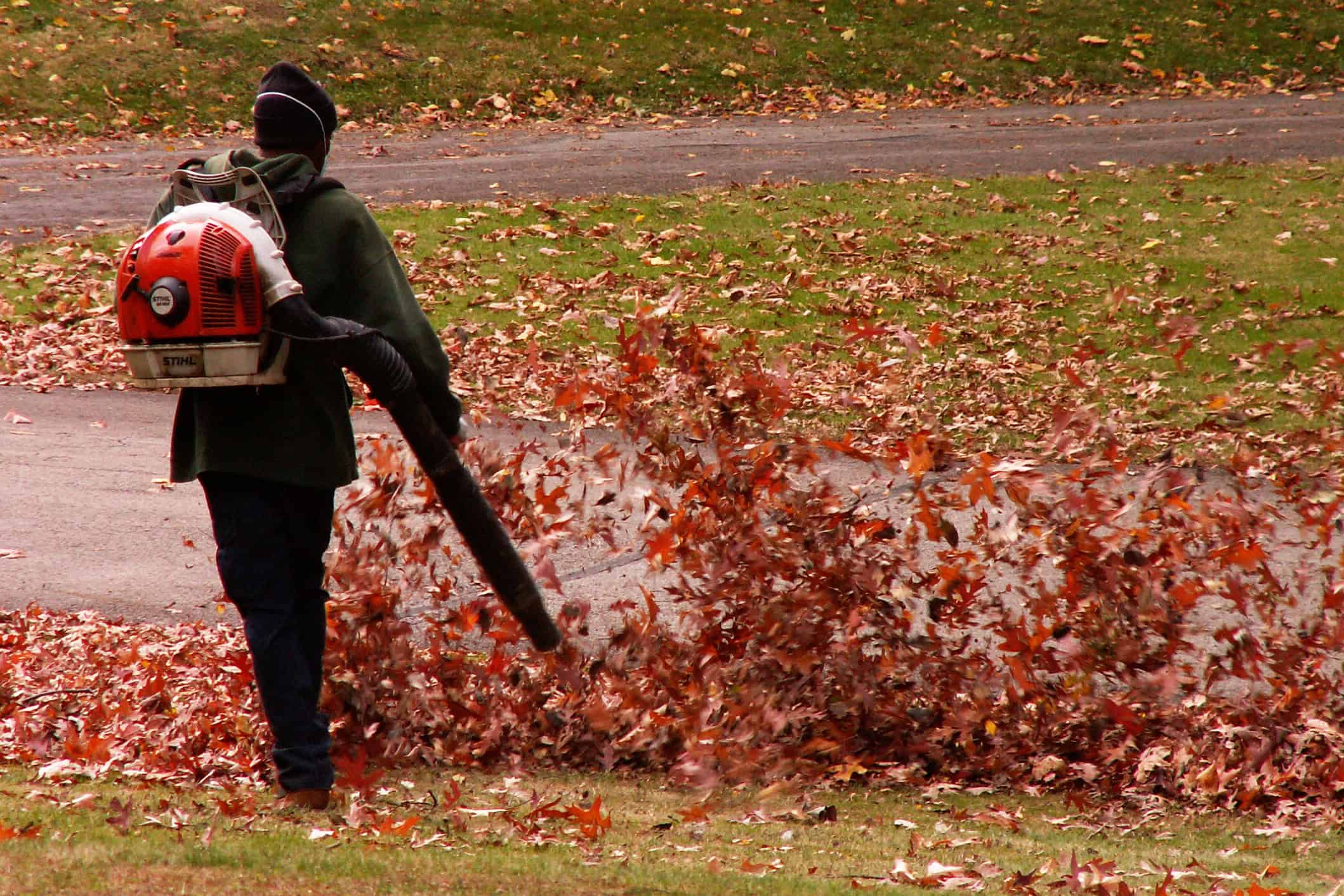 A Gas-Powered Leaf Blower With Fuel Still Inside
