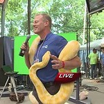Personal Space-Invader Snake