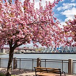 4. Roosevelt Island