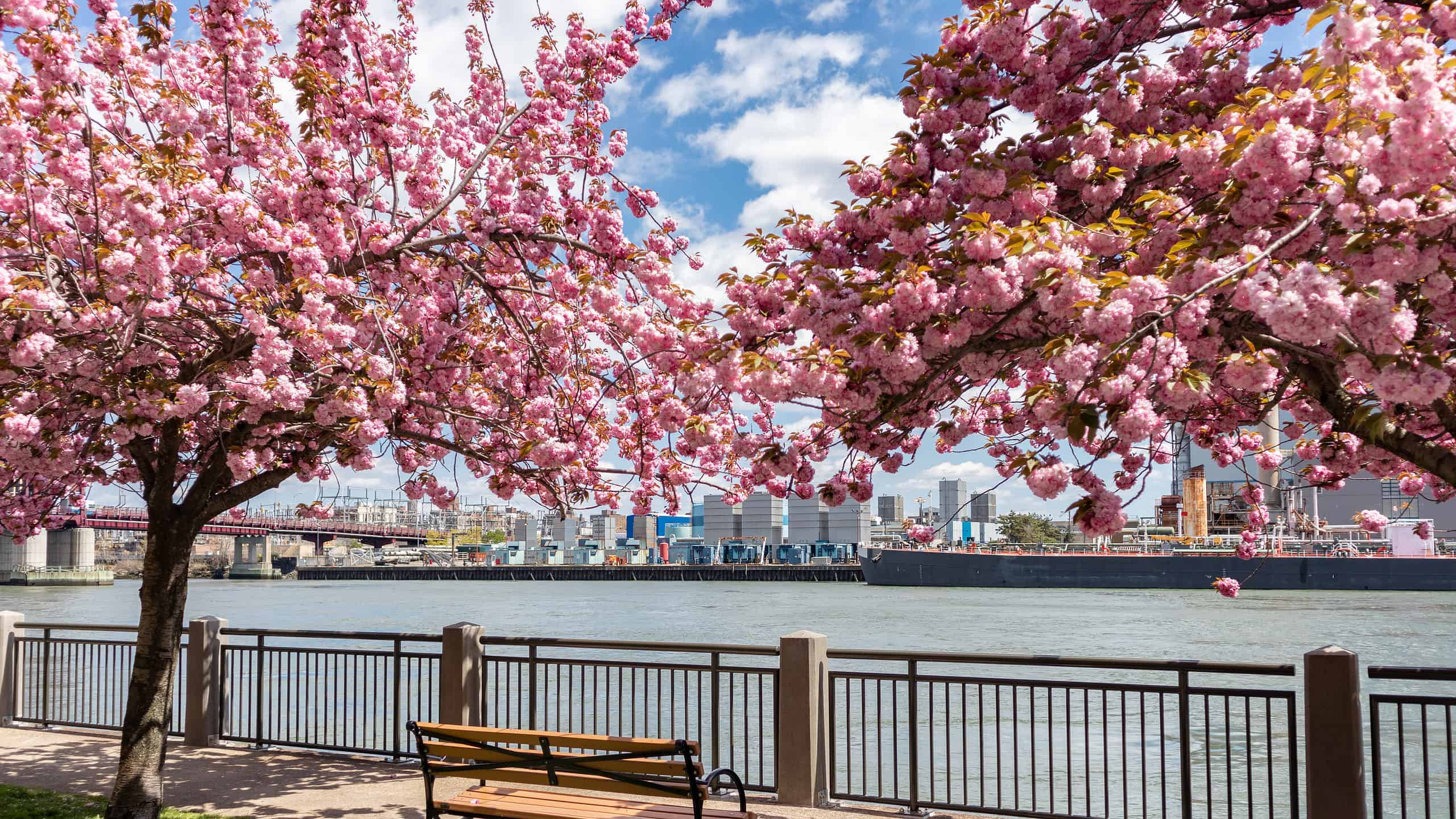 4. Roosevelt Island