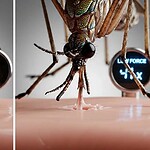 Mosquito-Inspired Medical Needles