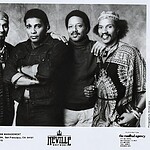 Art, Charles, Aaron, and Cyril Neville