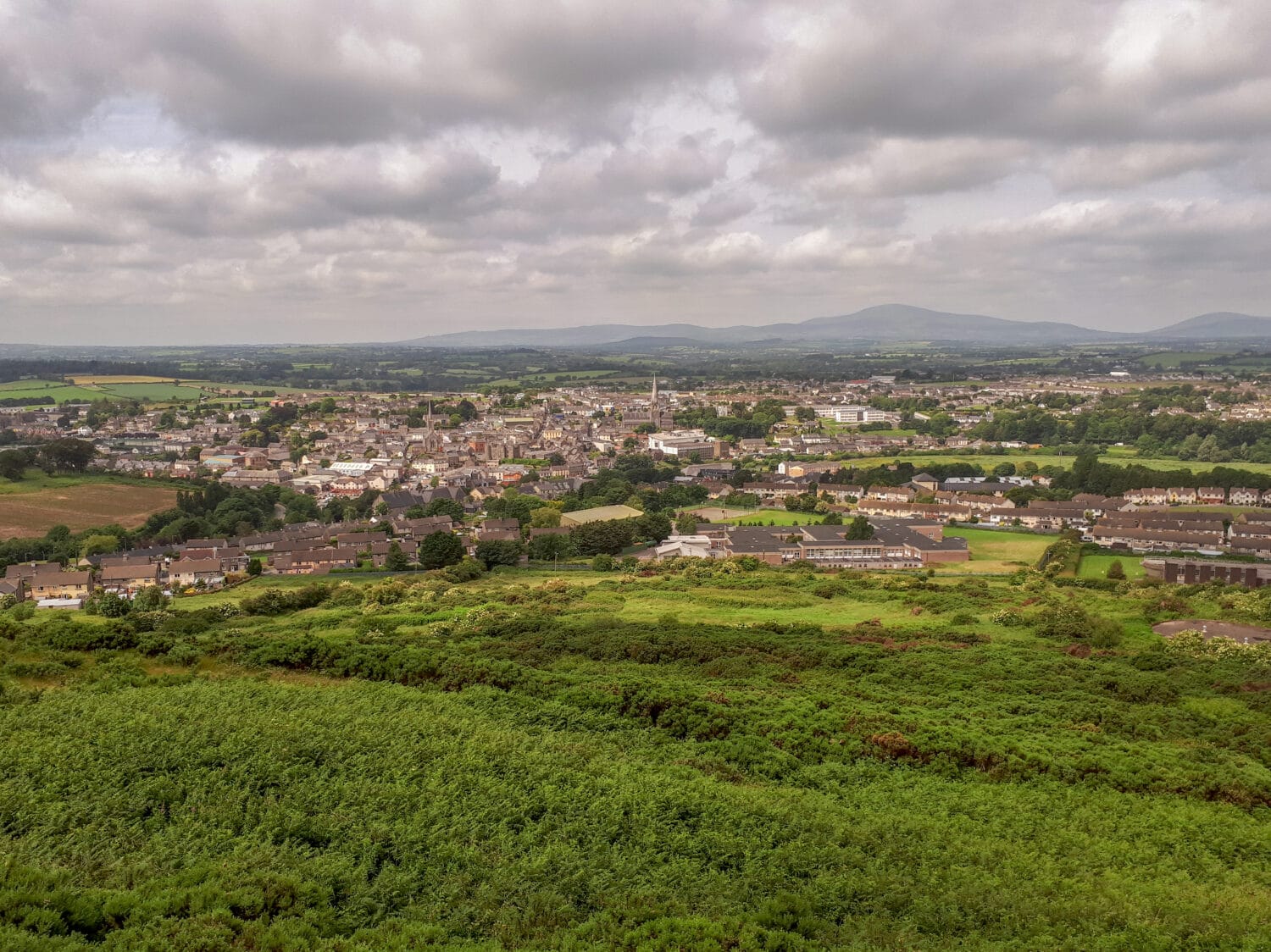 A View of Enniscorthy, County Wexford from Vinegar Hill