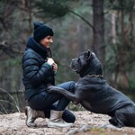 10 Dog Breeds That Survived Against the Odds