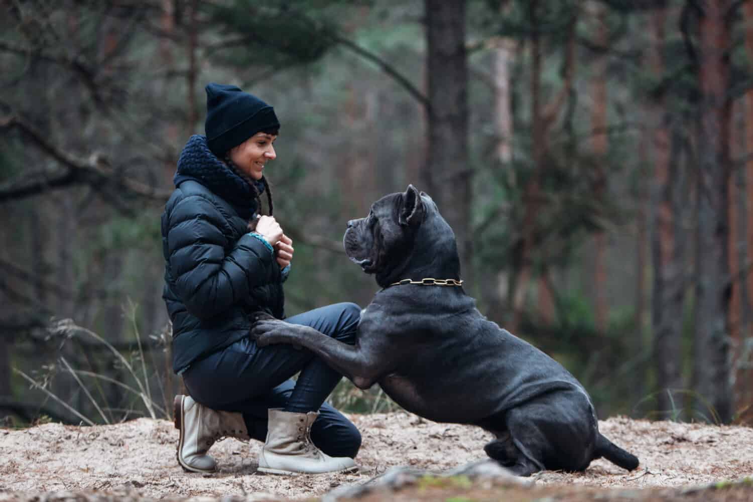10 Dog Breeds That Survived Against the Odds