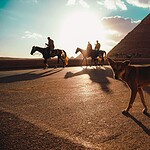 #13 Which African Country Is Home to the World's Most Extensive Pyramid Field?