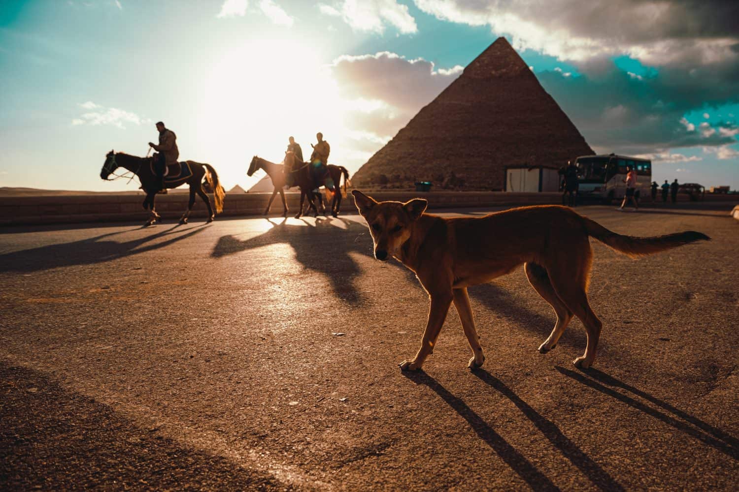 #13 Which African Country Is Home to the World's Most Extensive Pyramid Field?