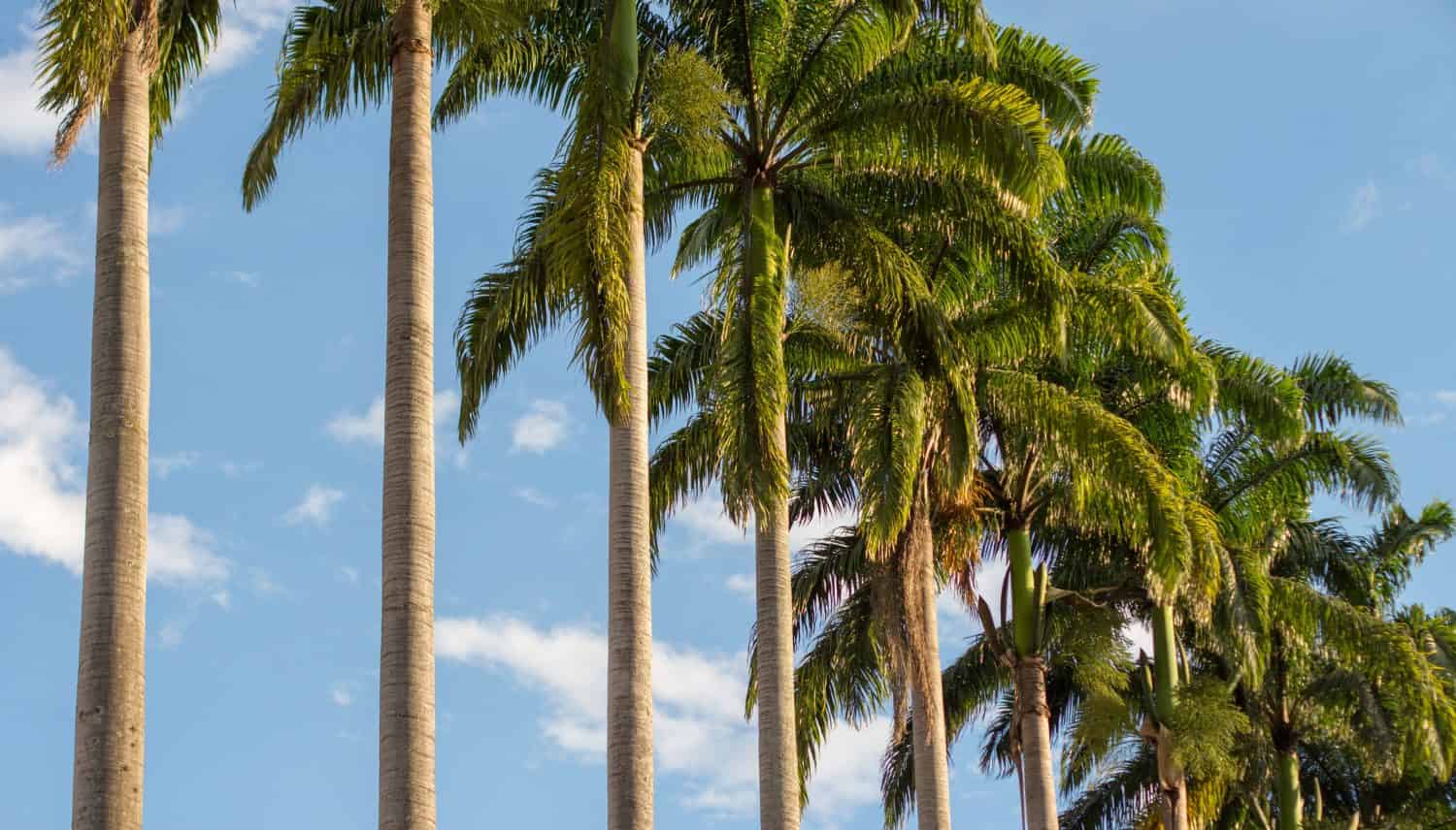 The 31 Most Fun and Interesting Colombia Facts You Didn't Know