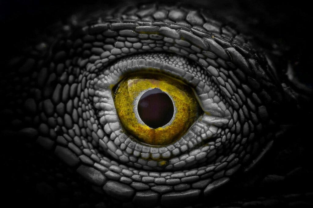 Halloween's eye, Eyes of horror, Eyes of devil or Eyes of monster Included horror,thriller,freaky and mystery from all over the world into this eye.