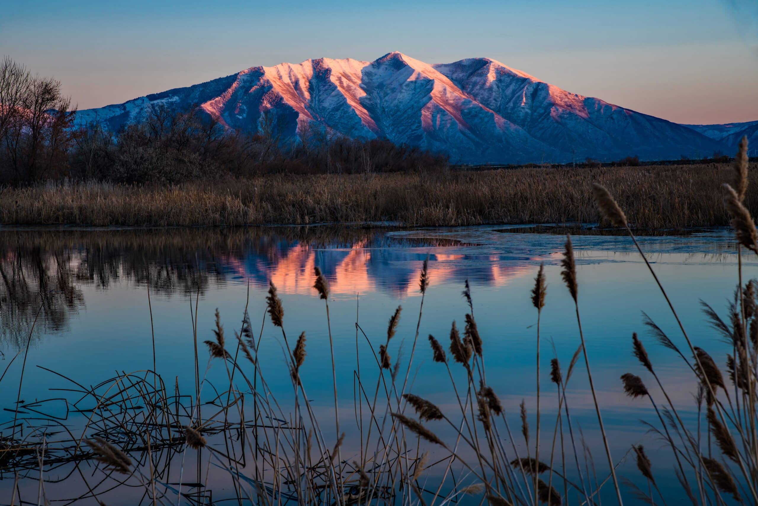 Utah