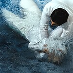 Who baptized the Ethiopian official in the Book of Acts?