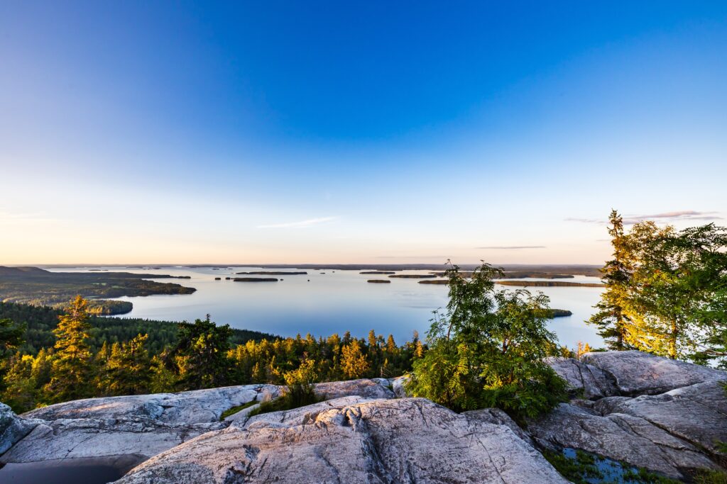 Beautiful summer landscape. Koli National Park. Finland