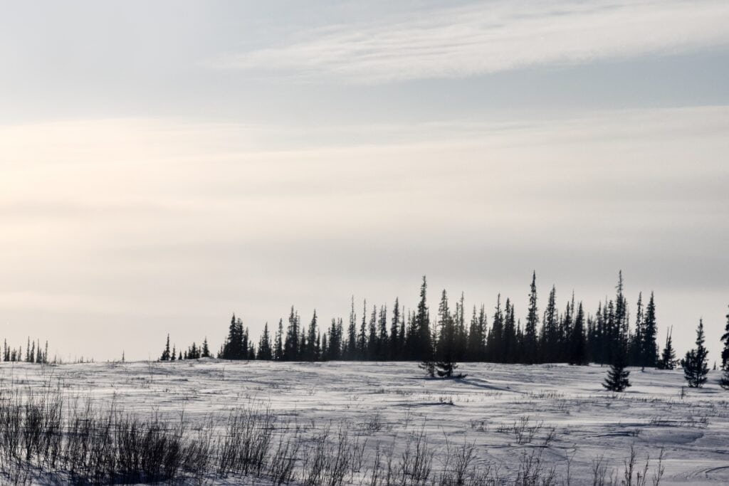 Republic of Komi tundra landscape. Coal, gas, oil and Gulag prison camps are located on this land