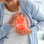 All Dietary Fat Causes Heart Disease
