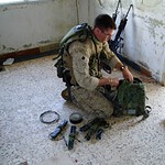 7. The Little Seahorse Division