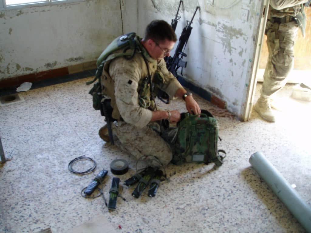 7. The Little Seahorse Division