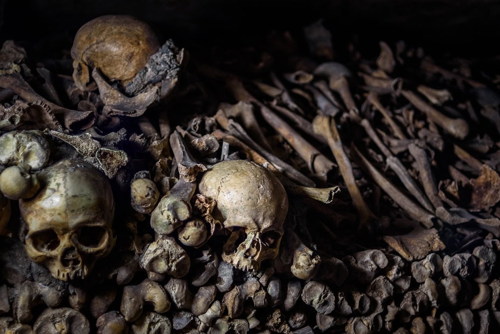 Residents of the catacombs of Paris