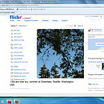 The World Wide Web Nearly Wiped Them Out
