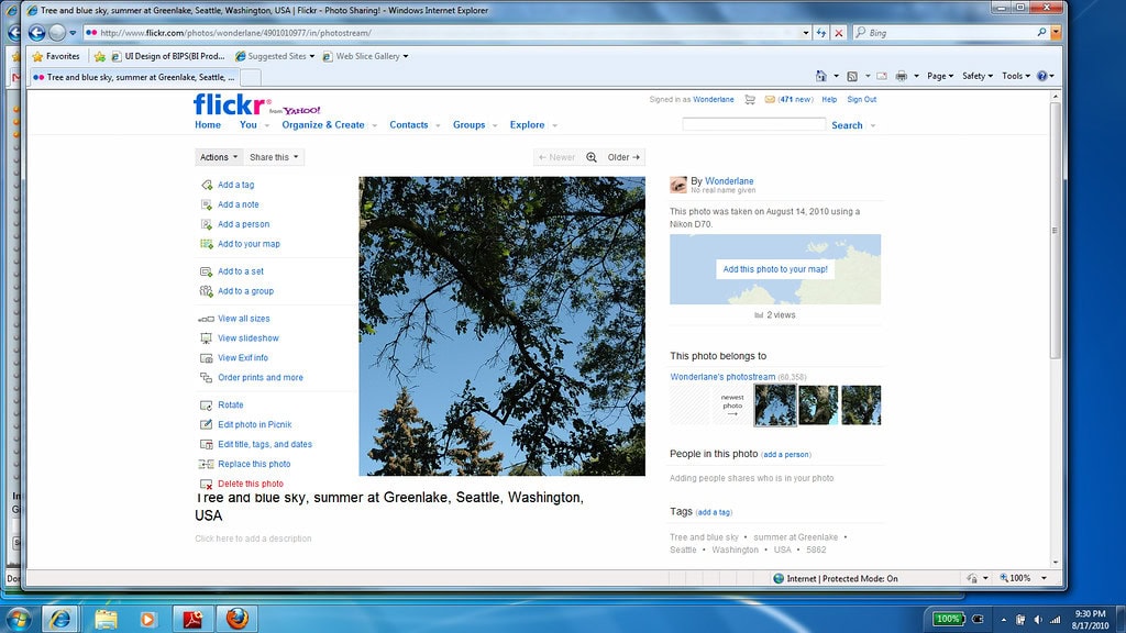 The World Wide Web Nearly Wiped Them Out