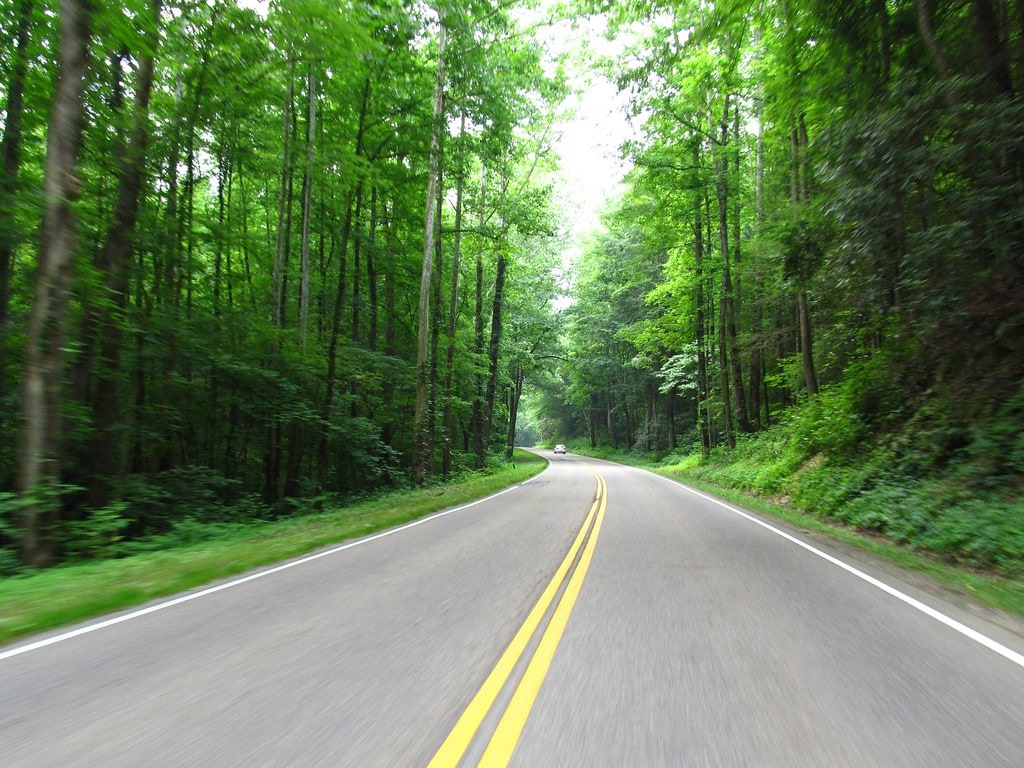 Newfound Gap Road, Great Smoky Mountains National Park, Tennessee