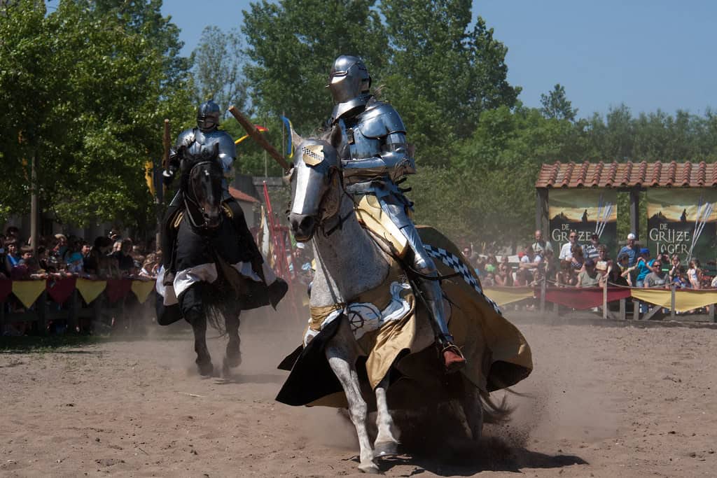 A Knight's Only Job Was Fighting