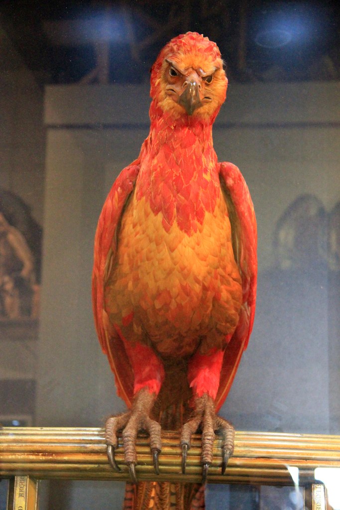 The Making of Harry Potter 29-05-2012