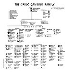 Gambino Died in Power, Not Behind Bars
