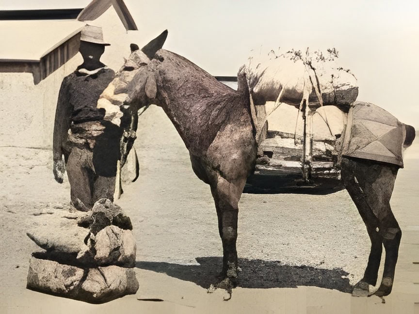 A Buffalo Soldier on the Western Frontier