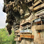 Sagada's Hanging Coffins