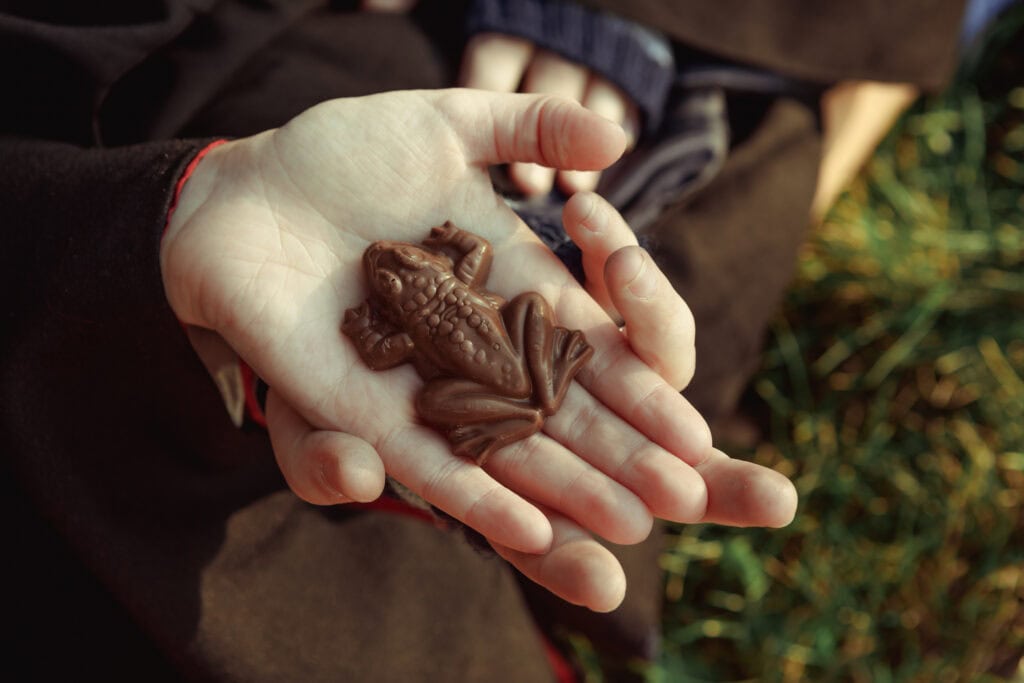 Close up of chocolate frog lying on the background of a female palm