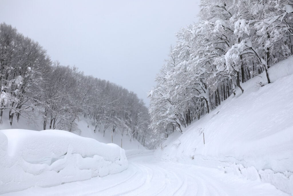The Road to Sukayu Onsen in Hakkoda Mountains, Aomori, Japan.