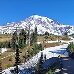 Washington (continued)